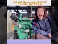 Niezawodny i oszczędny w przestrzeni silnik Diesel Generator 20KW 25KVA z obudową dźwiękoodporną