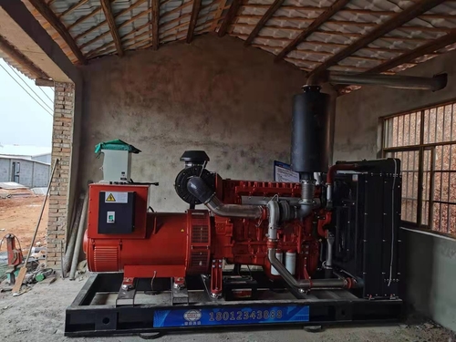 Najnowsze blogi firmy Zestaw generatora diesla o mocy 400 kW zostanie zainstalowany w fabryce drobiu